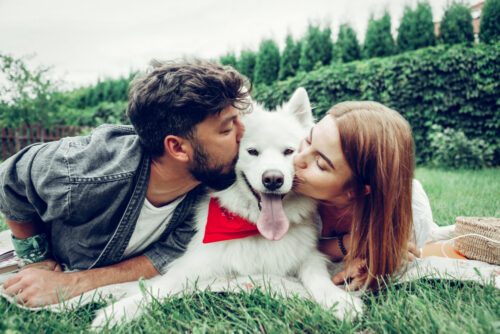 A couple on the grass kissing their dog.